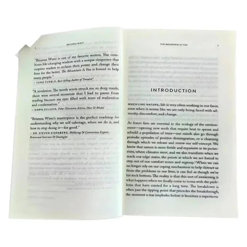 2025 New The Mountain Is You: Transforming Self-Sabotage Into Self-mastery English Books Birthday Gifts