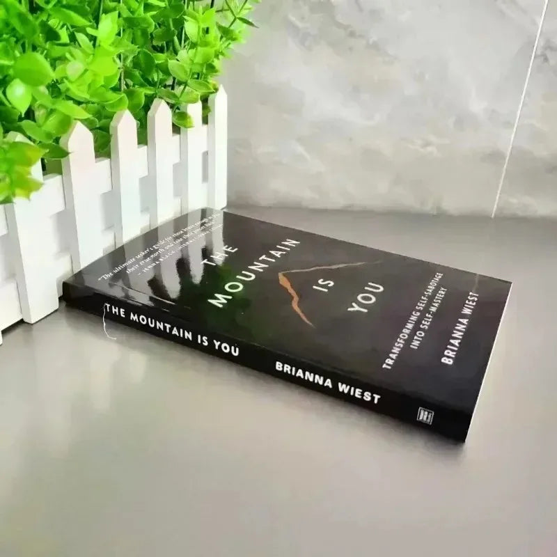 2025 New The Mountain Is You: Transforming Self-Sabotage Into Self-mastery English Books Birthday Gifts