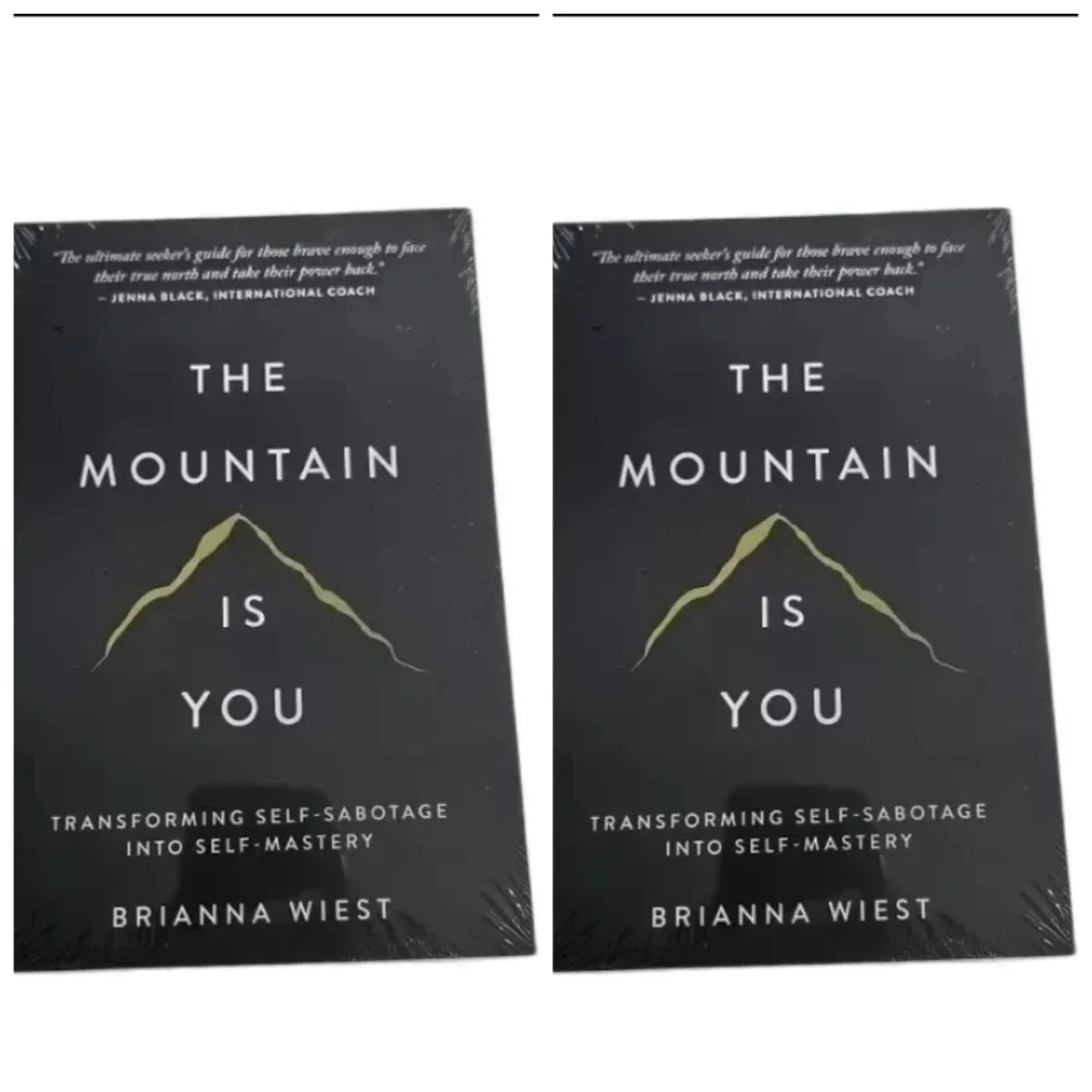 2025 New The Mountain Is You: Transforming Self-Sabotage Into Self-mastery English Books Birthday Gifts